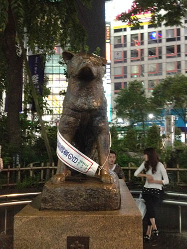 statua hachiko statua hachiko