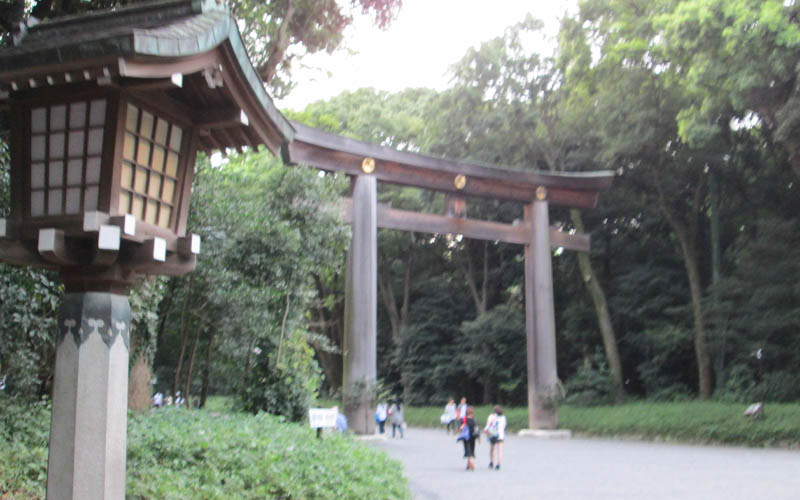 templio a tokyo templio a tokyo