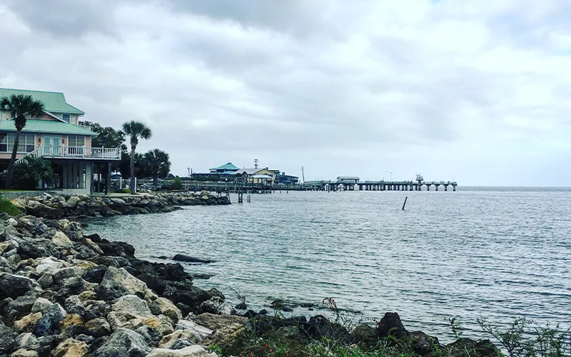 cedar key