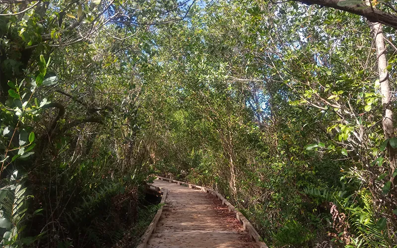 seminole state park
