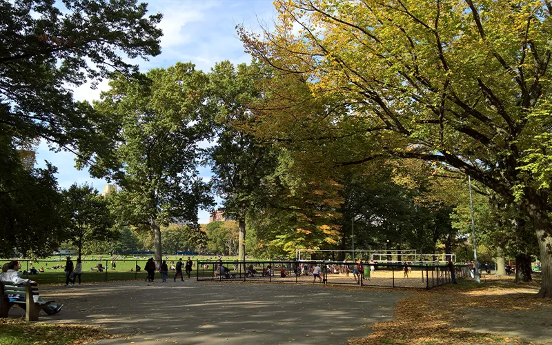 central park ny