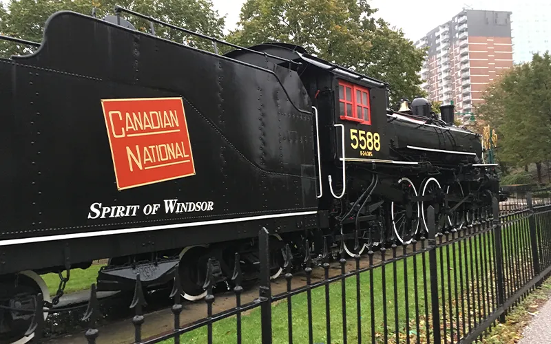windsor